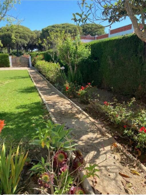Tierra Del Sur Holiday home Conil De La Frontera