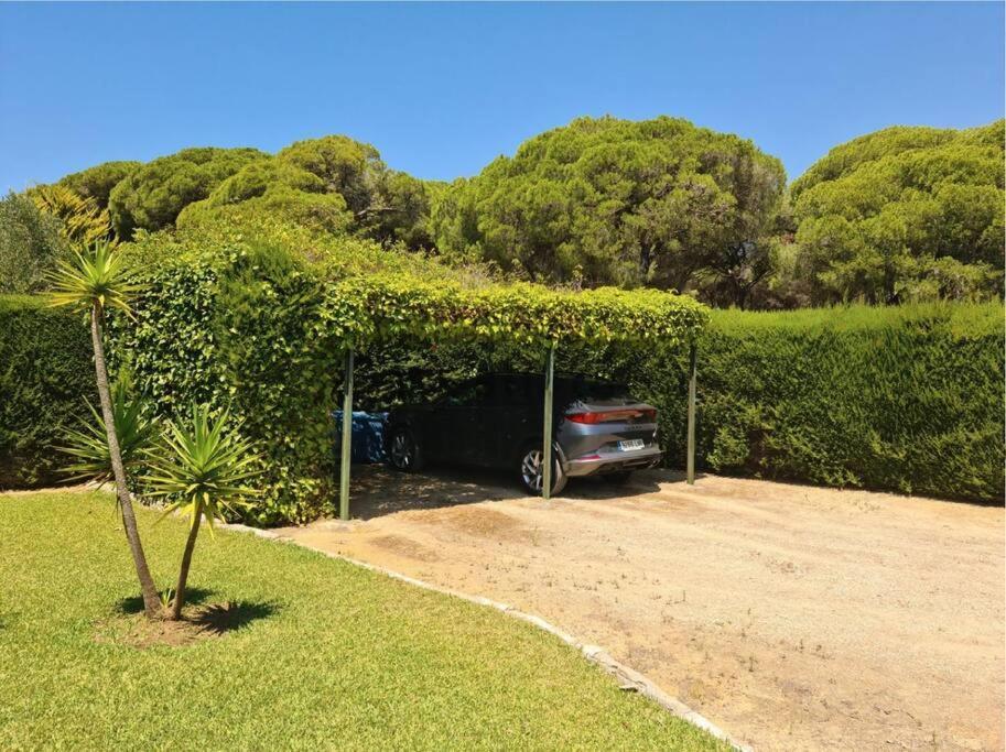 Tierra Del Sur Holiday home Conil De La Frontera